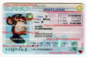 Best & Fast Fake ID Service | Idaho Driver License
