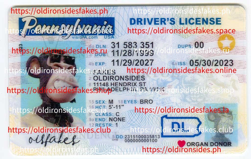 Best & Fast Fake ID Service | Pennsylvania Driver License(New PA O21)