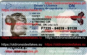 Best & Fast Fake ID Service | Ontario Driver License