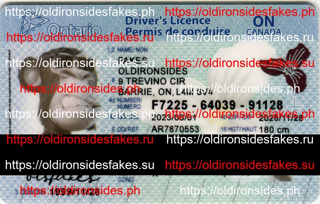 Best & Fast Fake ID Service | Ontario Driver License