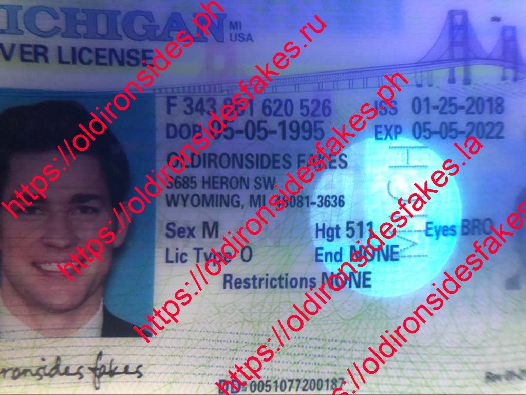 Michigan Driver License(Old MI) - Image 6