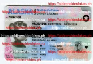 Best & Fast Fake ID Service | Alaska Driver License