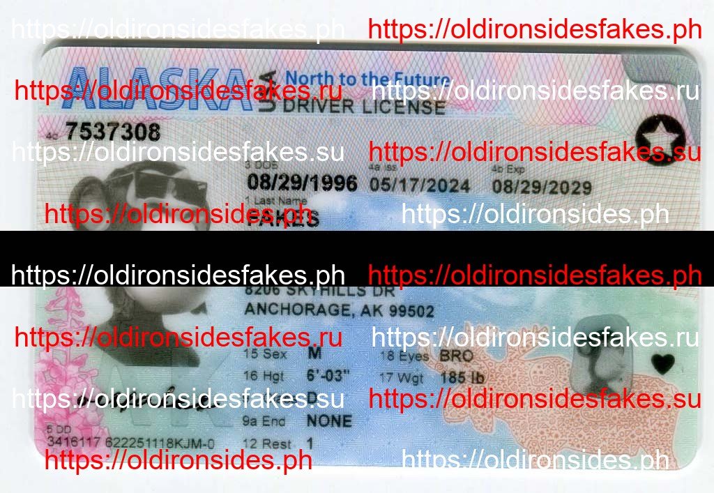 Best & Fast Fake ID Service | Alaska Driver License