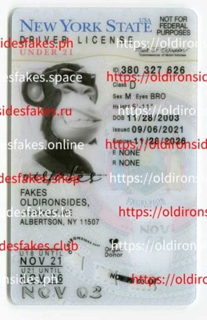 Best & Fast Fake ID Service | New York Driver License