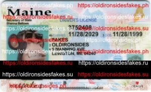 Best & Fast Fake ID Service | Maine Driver License