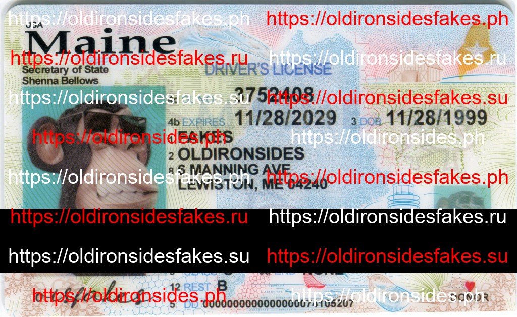 Best & Fast Fake ID Service | Maine Driver License
