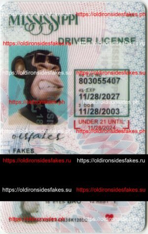 Best & Fast Fake ID Service | Mississippi Driver License