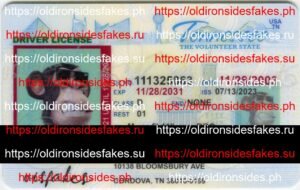 Best & Fast Fake ID Service | Tennessee Driver License(TN U21)