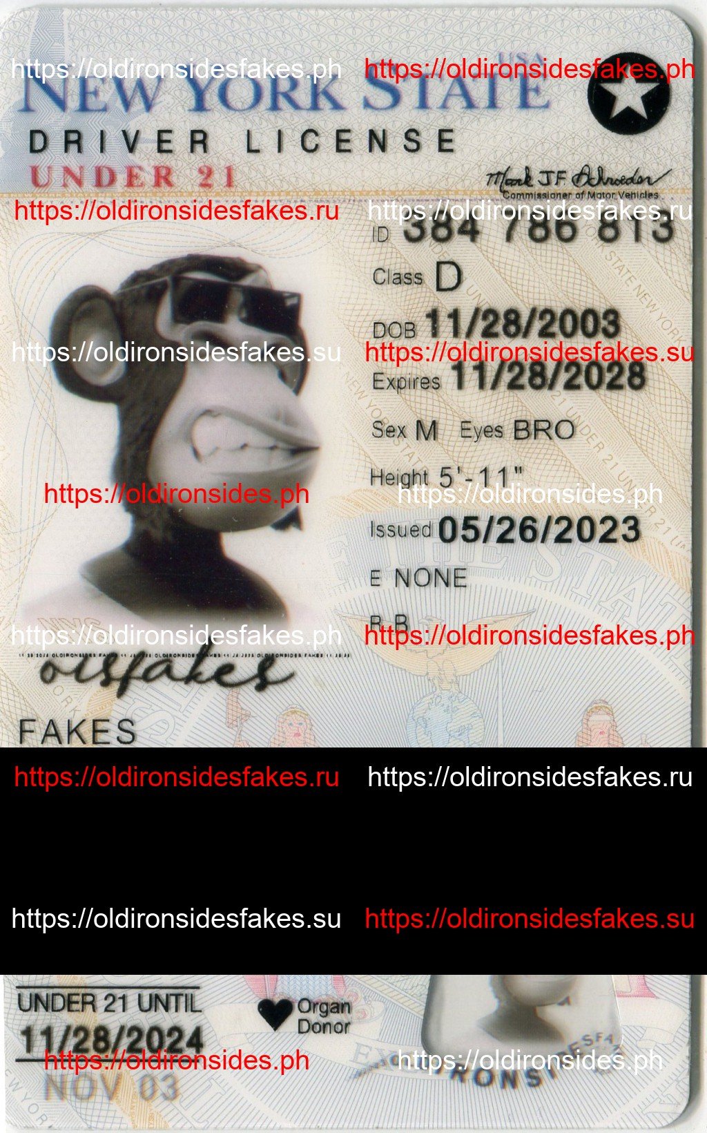 Best & Fast Fake ID Service | New York Driver License