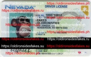 Best & Fast Fake ID Service | Nevada Driver License