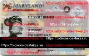Best & Fast Fake ID Service | Maryland Driver License