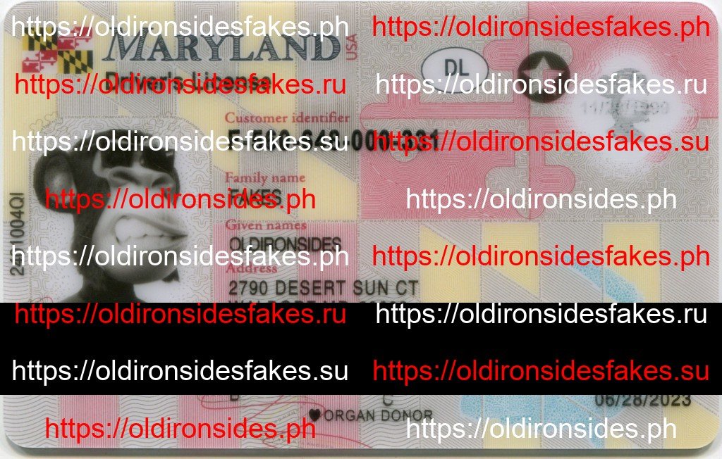 Best & Fast Fake ID Service | Maryland Driver License