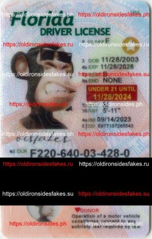 Best & Fast Fake ID Service | Florida Driver License