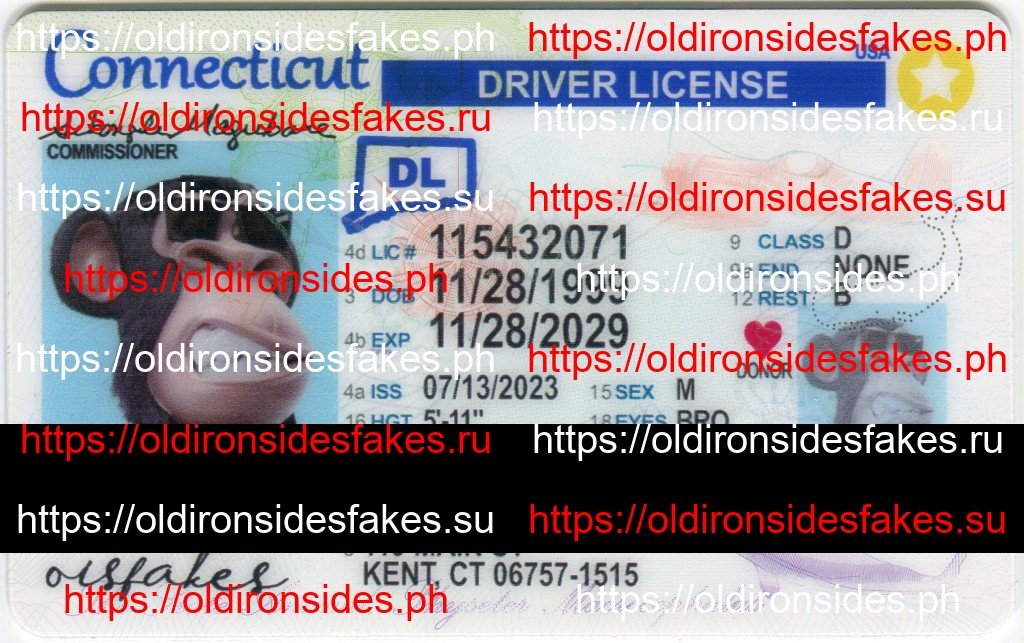 Best & Fast Fake ID Service | Connecticut Driver License