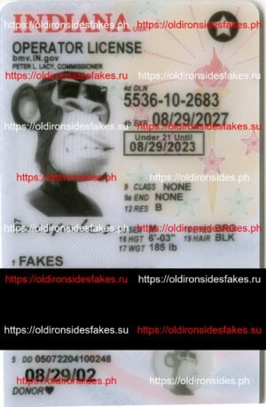 Best & Fast Fake ID Service | Indiana Driver License