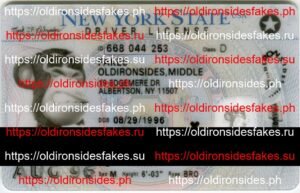 Best & Fast Fake ID Service | New York Driver License