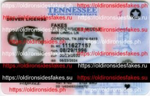Best & Fast Fake ID Service | Tennessee Driver License