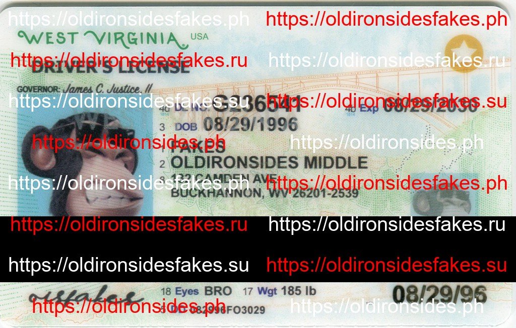 Best & Fast Fake ID Service | West Virginia Driver License