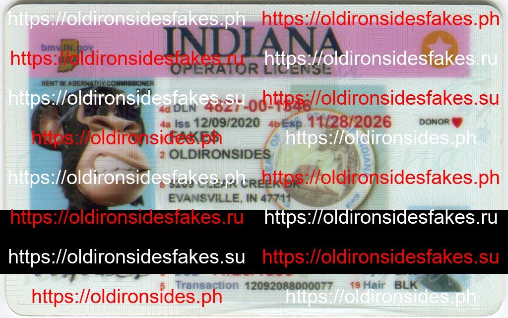 Best & Fast Fake ID Service | Indiana Driver License