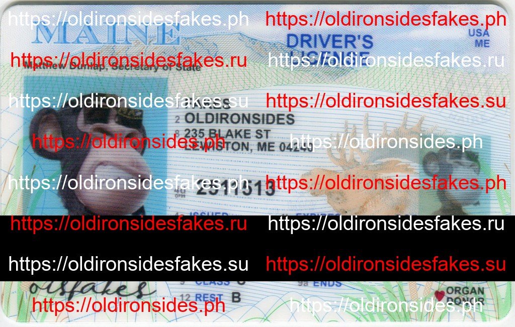 Best & Fast Fake ID Service | Maine Driver License