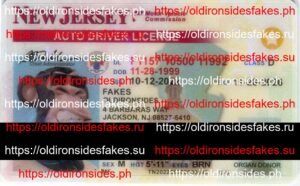 Best & Fast Fake ID Service | New Jersey Driver License
