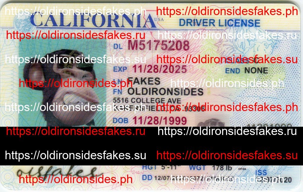 Best & Fast Fake ID Service | California Driver License
