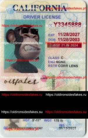 Best & Fast Fake ID Service | California Driver License