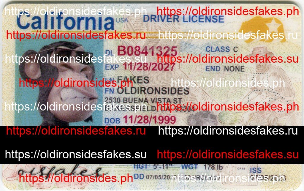 Best & Fast Fake ID Service | California Driver License