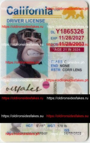 Best & Fast Fake ID Service | California Driver License