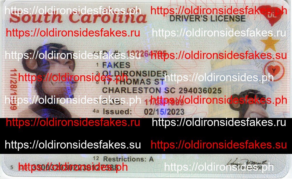 Best & Fast Fake ID Service | South Carolina Driver License(New SC O21)