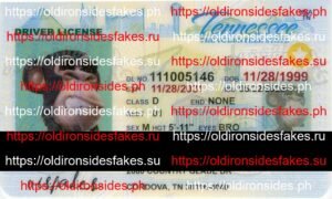 Best & Fast Fake ID Service | Tennessee Driver License(TN O21)