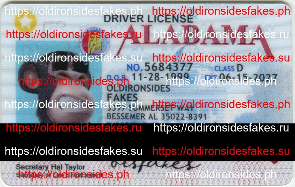 Best & Fast Fake ID Service | Alabama Driver License