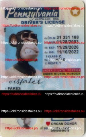 Best & Fast Fake ID Service | Pennsylvania Driver License(New PA U21)