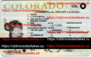 Best & Fast Fake ID Service | Colorado Commercial Driver License