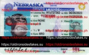 Best & Fast Fake ID Service | Nebraska Driver License