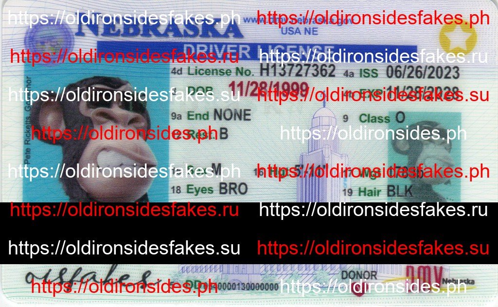 Best & Fast Fake ID Service | Nebraska Driver License