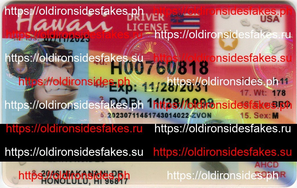 Best & Fast Fake ID Service | Hawaii Driver License