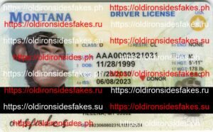 Best & Fast Fake ID Service | Montana Driver License