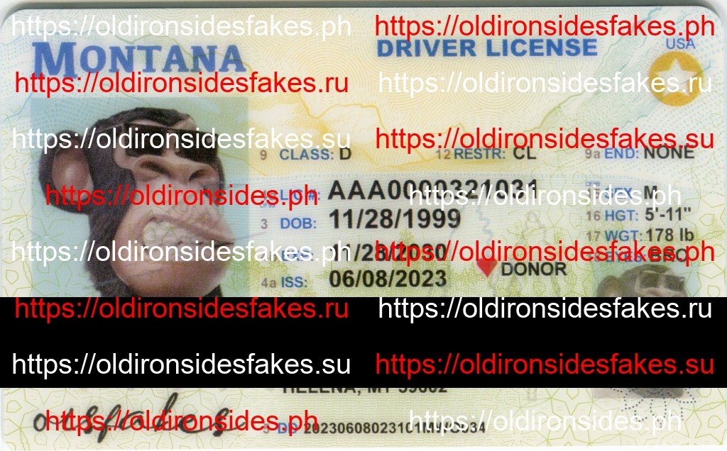 Best & Fast Fake ID Service | Montana Driver License