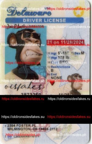 Best & Fast Fake ID Service | Delaware Driver License
