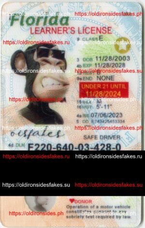 Best & Fast Fake ID Service | Florida Driver License