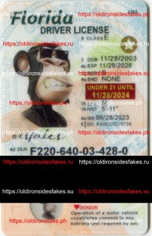 Best & Fast Fake ID Service | Florida Driver License