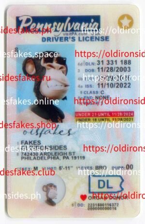 Best & Fast Fake ID Service | Pennsylvania Driver License