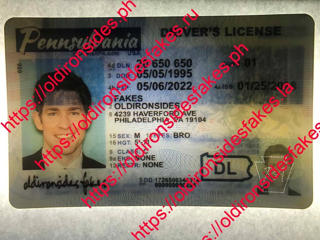 Pennsylvania Driver License(New PA O21) - Image 6